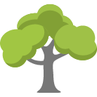 Sebring Tree Trimming