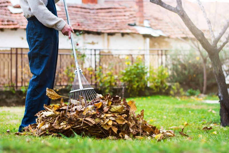 Leaf Raking Techniques