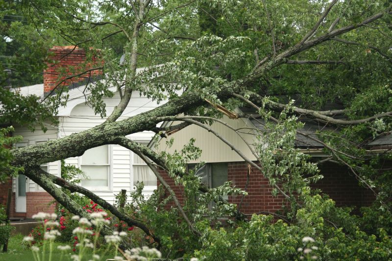 Storm Damage Scene